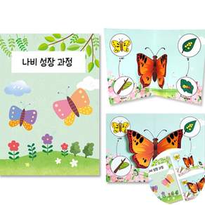 [픽랩] 나비 관찰 팝업북 만들기