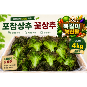 [복길이농산물] 국내산 상추 4kg 포찹 꽃상추