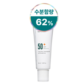 피캄 워터베리어 수분진정 선크림 SPF50+ PA++++