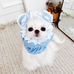 강아지 고양이 순면 데님 레이스 스누드 식사 귀보호대 말티즈 요크셔 장모견 털오염방지