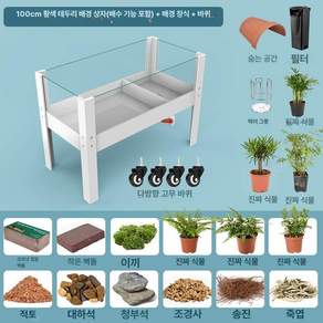 대형거북이어항 수생육지 분리형 생태조경 물
