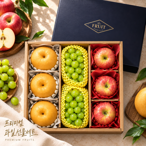 프리미엄 혼합과일 선물세트