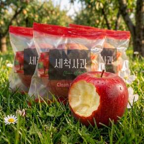 [일50box만] 당일세척 껍질째먹는 세척사과 경북사과