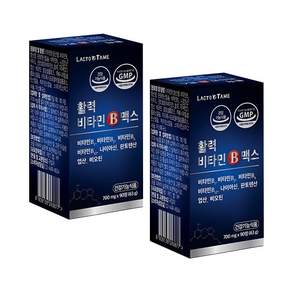락토테미 활력 비타민b 맥스