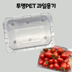 일회용 포장 pet 사각 투명 과일 용기 용품 방울토마토 딸기 500a