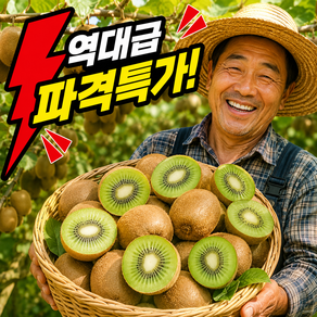 [재구매1위] 초특가 제스프리 그린키위 최상품