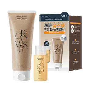 [1위 스케일러/두피 딥 클렌징] 그로우어스 씨솔트 테라피 두피스케일러 EX 265g 단품/기획