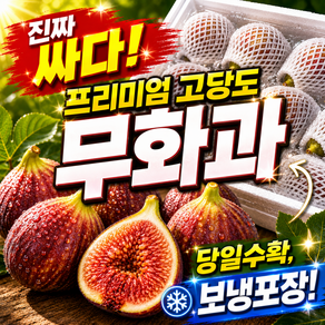 [한정특가] 당일수확 산지직송 고당도 무화과 보냉포장
