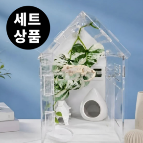 필핏 크레스티드 게코 사육장 202030 도마뱀 파충류 은신처 세트 루프 하우스 에디션