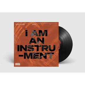 I Am an Instrument Artist Vinyl 비닐 LP 레코드 Receive 미국 발송