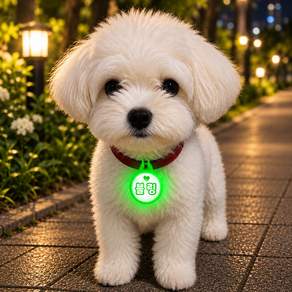 LED 애견 이름표 강아지 인식표 고양이 인식표 맞춤제작 야간산책