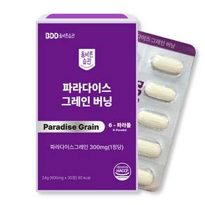 올바른습관 파라다이스 그레인 버닝 6파라돌 300mg