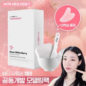 유리숲 스노우 화이트 베리 모델링팩 250g+팩도구 세트