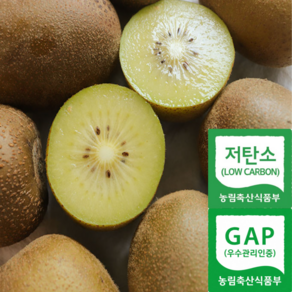 [프리미엄] GAP 저탄소 26년 국산 경남 창원 골드키위