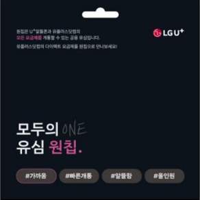 LGU+모두의 유심(원칩) 1개