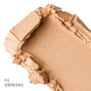 베이시아 에어 스틱 리얼콜라겐 파운데이션 11g 4Colors