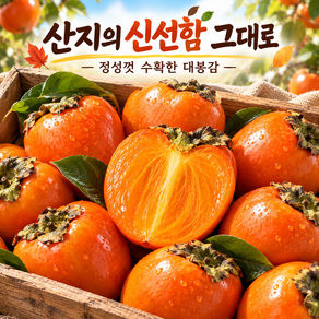 가을제철과일 초고당도 과즙가득 대봉감 후숙홍시