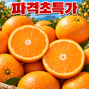 [하루한정100박스] 상큼과즙미팡팡 13Brx 청정제주산지 타이벡감귤