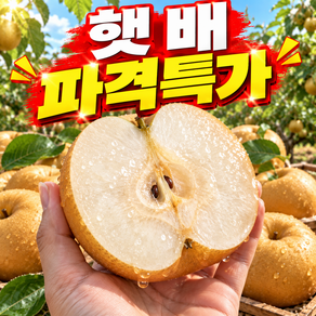 [명절초특가] 아삭시원 국내산 고당도 가정용 햇 배
