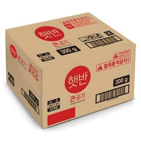 햇반 큰공기