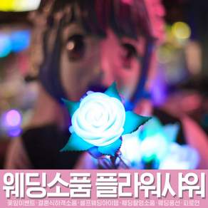 스투피드 셀프웨딩 프로포즈 모음