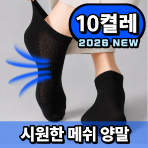로렌픽 시원한 여름 쿨 스니커즈 메쉬 양말 10켤레 세트