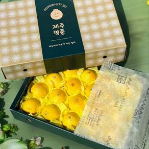 [3년연속판매1위] 특상품 고당도 제주 황금향 선물세트