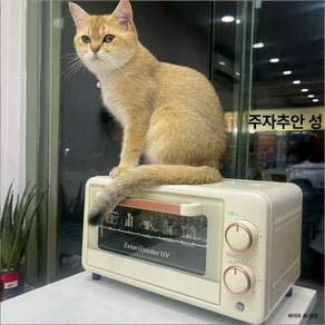 네일소독기 UV살균기 미용 멸균기 자외선 미용도구