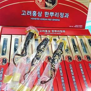 고려홍삼 한뿌리정과 당일발 1박스 10뿌리, 1개, 220g