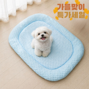 쥬펫 강아지 고양이 쿨매트 여름 필수 냉감 쿨링패드 더위방지 애견방석