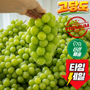[하루50박스한정] 삼형제엄마 초고당도 샤인머스캣
