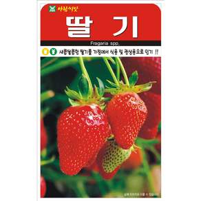 아람씨앗 딸기 씨앗 100립