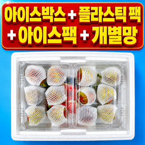 [50박스한정] 프리미엄 백화점납품 고당도 무화과