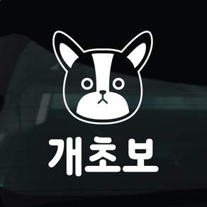 디자인황소 초보운전 스티커 차량스티커 차량 자동차 데칼 시트지