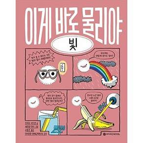 와이즈만 BOOKs 이게 바로 물리야 4 - 빛 (양장)