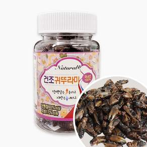[MG내추럴] 국산 건조귀뚜라미 고슴도치 햄스터 간식 먹이