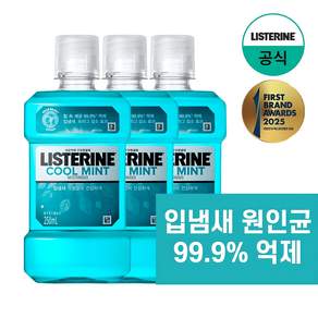 리스테린 쿨민트 구강청결제