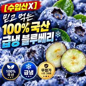 [마지막특가] 2026년 급냉 블루베리 생과