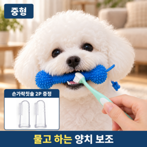 에보윈 물고닦개 강아지 덴탈토이 양치 보조기 TPR 이갈이 터그놀이 씹는 장난감 치아관리