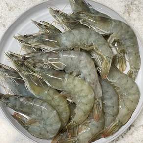 국산 흰다리새우 1kg 30미내외 왕새우 새우철 제철