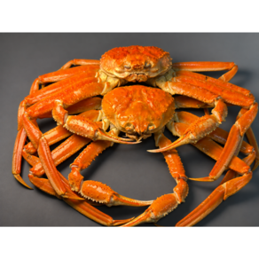 [탑유통]동해시 수율70~80% /산지직송/품질보증/ 정품&알뜰 대게 3kg (2-3미)
