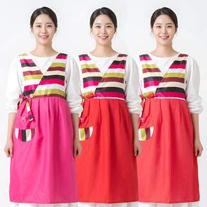 Hanbok apron multicolor dress Lunar New Year Chuseok holiday daycare kindergarten traditional costume shipping