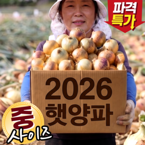 [실속특가] 산지직송 국내산 아삭단단 양파