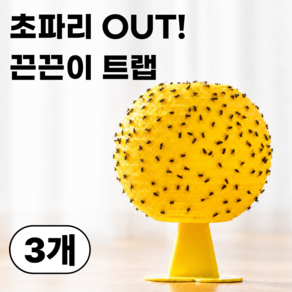 아발라 끈끈이 날파리 초파리 트랩