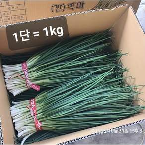 깐쪽파(생산자 오전 수확 오후 배송 경매x)