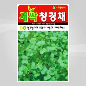 슬로시 새싹 씨앗 보리 다채 귀리 비빔용 청경채 경수채