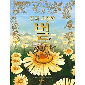 베틀북 진짜 소중한 벌 (양장)
