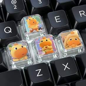 귀여운 카피바라 캐릭터 키보드포인트 키캡 투명 장식키보드꾸미기 4종