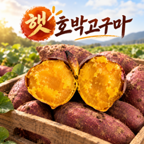 [시즌특가] 국내산 햇 호박고구마 고당도 꿀 고구마