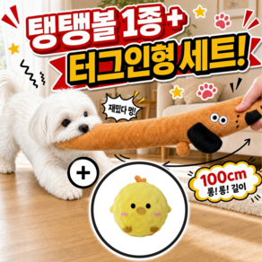 댕냥리안 튼튼한 애착 인형 + 탱탱볼 강아지 장난감 터그인형 터그놀이